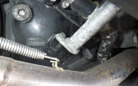 YAMAHA MAXAM 250 SG21J