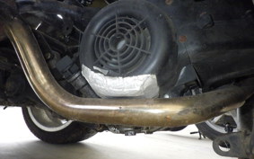 OTHER +UNREGISTERED MODEL by BDS TRIKE200