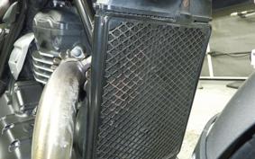 TRIUMPH SCRAMBLER400X 2024