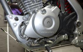 HONDA CRF125F 2013 JE03