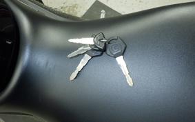 YAMAHA YZF-R25 A 2024 RG43J