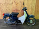Фото Honda SUPER CUB50 2008 с японского аукциона