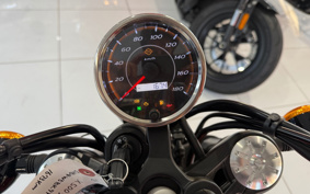 HARLEY X500 2024 W5B