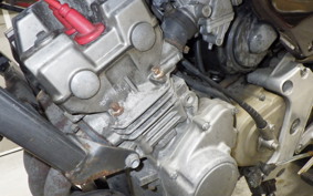 HONDA HORNET 250 MC31