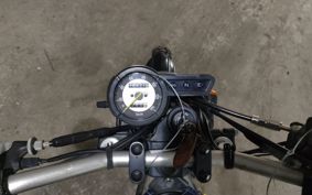 YAMAHA TORITSU CAR DG10J