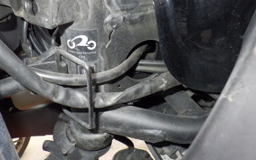 KAWASAKI NINJA 250 EX250L