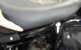 HARLEY FXLRST1920 2023