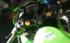 KAWASAKI NINJA ZX-4RR 2025 ZX400P