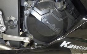 KAWASAKI NINJA 250 EX250L