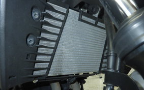 YAMAHA MT-25 2010 RG43J