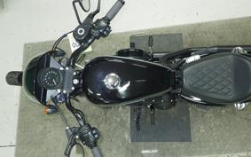 HARLEY XL1200NS 2019