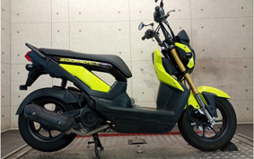 HONDA ZOOMER-X JF38