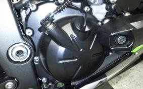 KAWASAKI NINJA ZX-6R A 2025 ZX636J