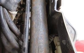 SUZUKI SKYWAVE 250S-1 CJ43A