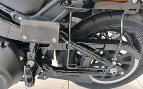 HARLEY  HARLEY FXFBS 2021 YLK