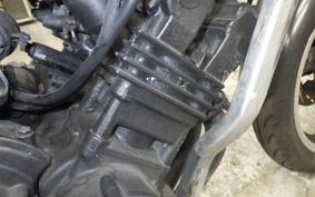 YAMAHA FZ250 2009 1HX