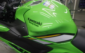 KAWASAKI NINJA 650 A 2024 ER650S
