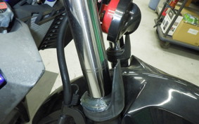 YAMAHA MT-25 2013 RG43J