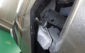 KAWASAKI NINJA 250 EX250P