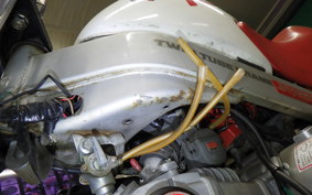HONDA MONKEY R AB22