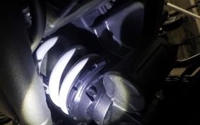 TRIUMPH SPEED 400 2024