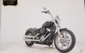 HARLEY FXST1750 2025