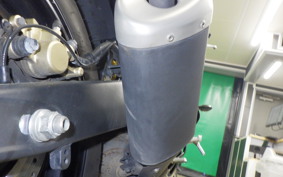 YAMAHA YZF-R25 A RG43J