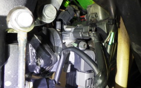 KAWASAKI KLX250D TRACKER X 2025 LX250V