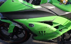 KAWASAKI NINJA 250 EX250L