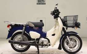 HONDA C110 SUPER CUB 2019 JA61