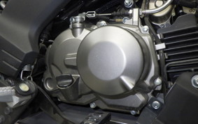 KAWASAKI Z125 PRO 2021 BR125H