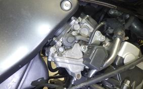 HONDA HORNET 250 1989 MC31