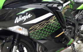 KAWASAKI ZX-25R 2022 ZX250E