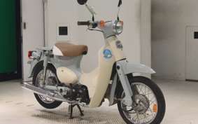 HONDA LITTLE CUB E AA01