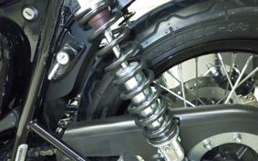 KAWASAKI W800 CAFE 2021 EJ800B