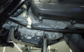 HONDA ZOOMER 1986 AF58