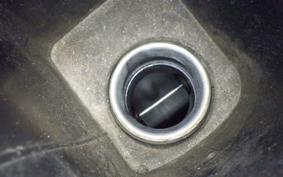 YAMAHA MAXAM 250 SG21J