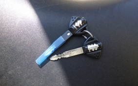 SUZUKI GSX-R1000 2009