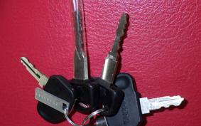 HONDA C110 SUPER CUB JA44