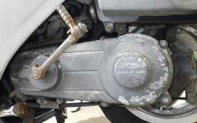 HONDA BROAD 50 AF33