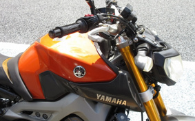 YAMAHA MT-09 2014 RN34J