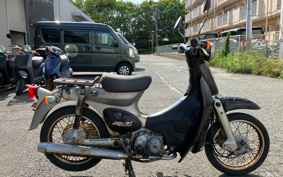 HONDA LITTLE CUB C50