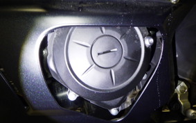 YAMAHA YZF-R25 A RG74J