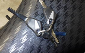 KAWASAKI Z1000 Gen.5 2021 ZXT00W