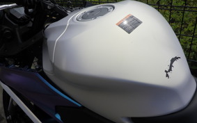 YAMAHA YZF-R25 A RG95J