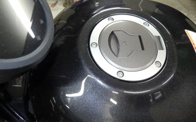 HONDA REBEL 1100 2023 SC83