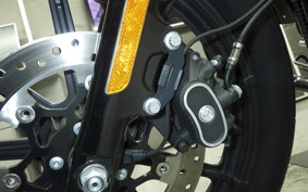 HARLEY XL1200NS 2019