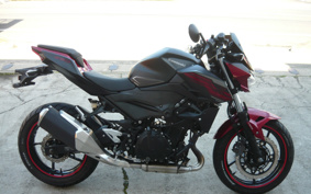 KAWASAKI Z250ABS EX250P