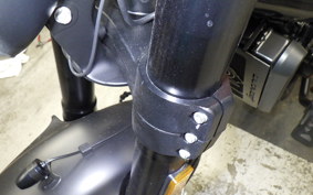 HARLEY X500 2024