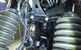 KAWASAKI W800 2024 EJ800E